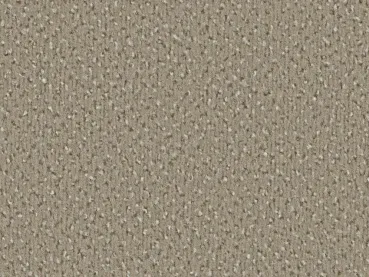 „Vorwerk Alexis Teppichboden in Beige – vielseitige Draufsicht mit dezenter Velours-Oberfläche“